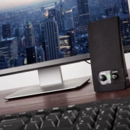 Altavoz HiFi 2W Altavoces de PC NGS SB150  | No, USB y Jack 3.5mm, Negro